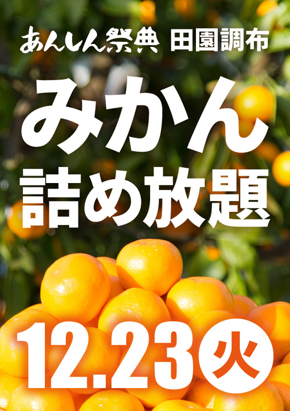 🍊冬の大人気イベント！【みかん詰め放題】🍊