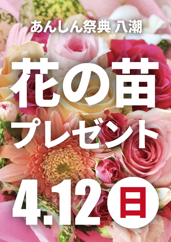 あなたのお庭を彩る💐花の苗プレゼント💐
