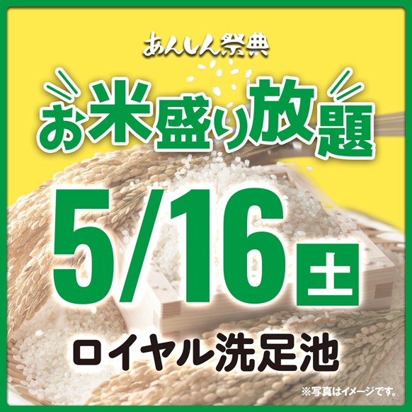 🌾【お米盛り放題】新潟県産コシヒカリをゲット！🌾（5/16）