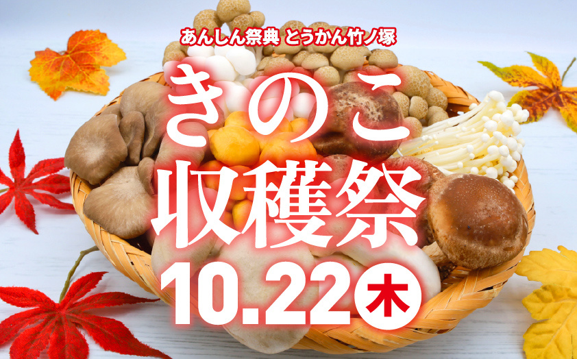 🍁🍄‍🟫秋のきのこ収穫祭🍄‍🟫🍁